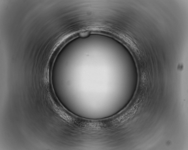 X0000101230934200806271508