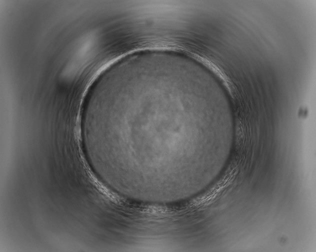 X0000101230935200806271508