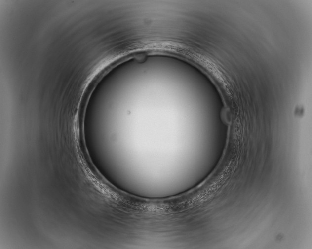 X0000101230936200806271508
