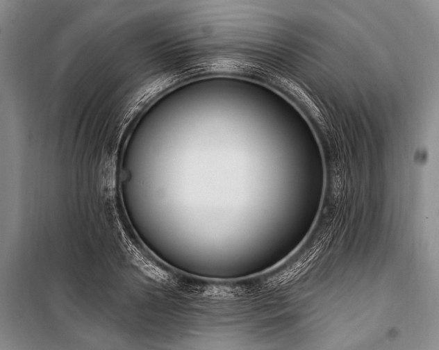X0000101230938200806271508