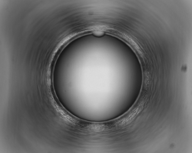 X0000101230939200806271508