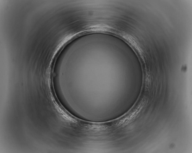 X0000101230941200806271508