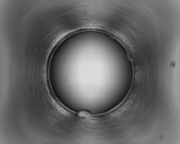 X0000101230942200806271508