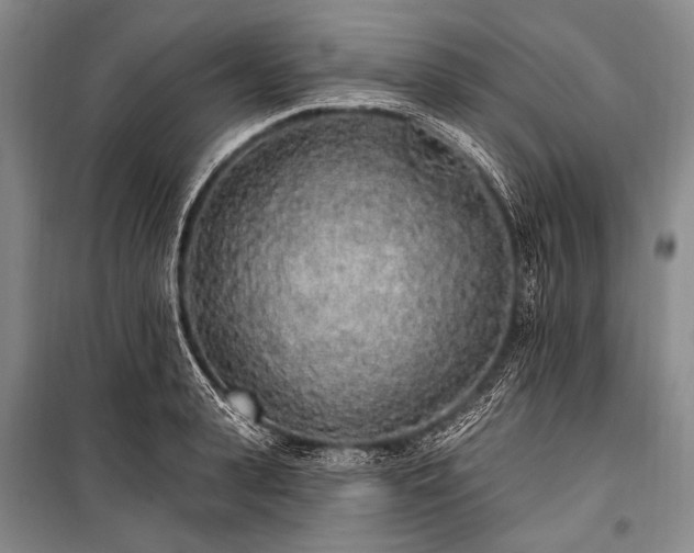 X0000101230943200806271508