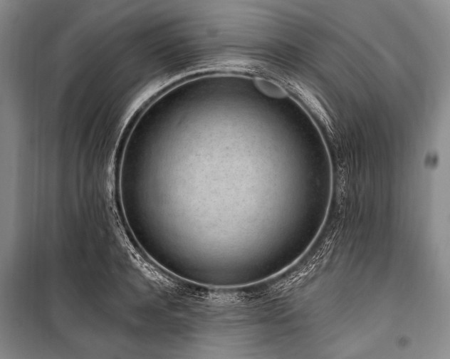 X0000101230944200806271508