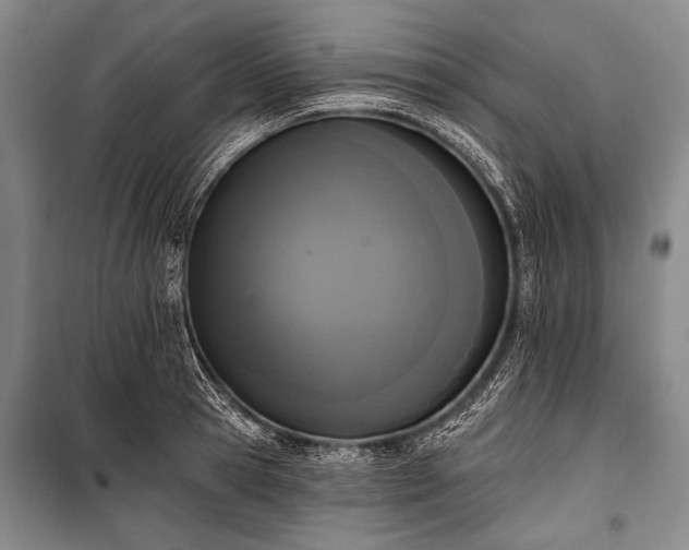 X0000101230945200806271508