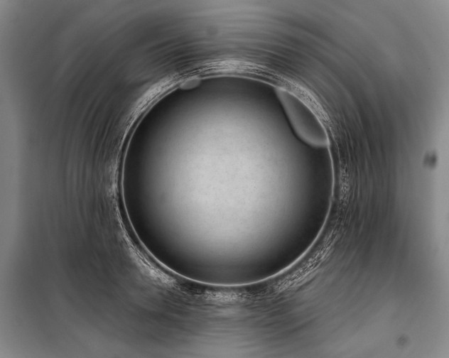 X0000101230946200806271508
