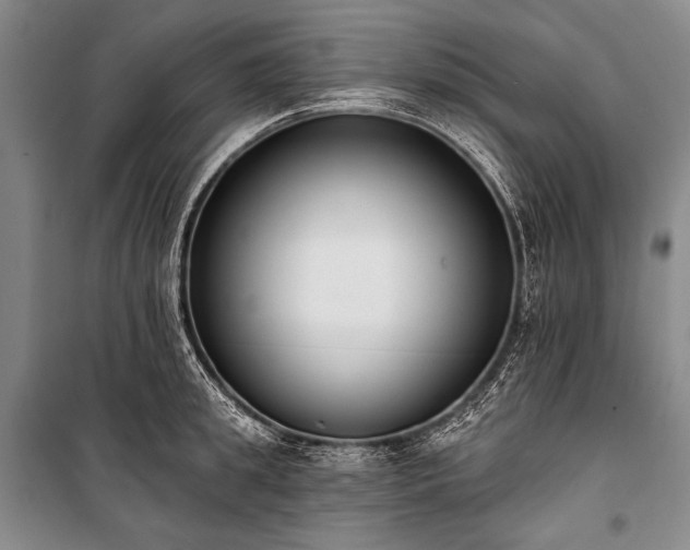 X0000101230949200806271508