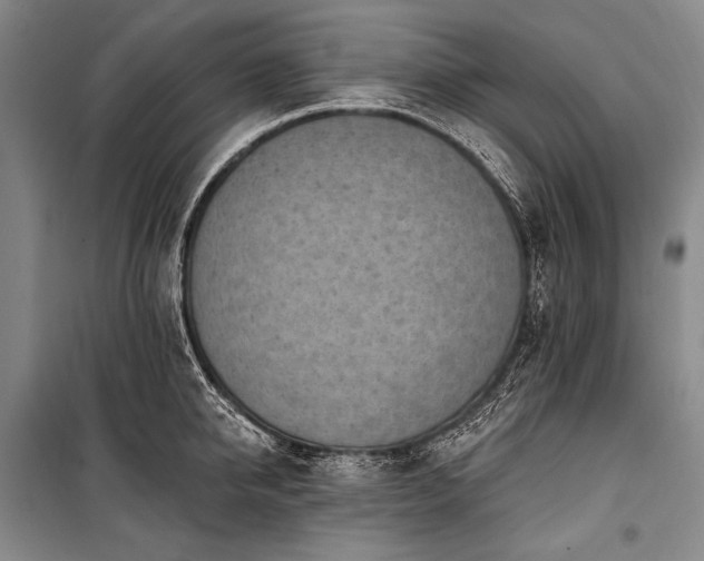 X0000101230950200806271508