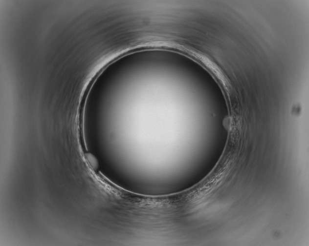 X0000101230951200806271508