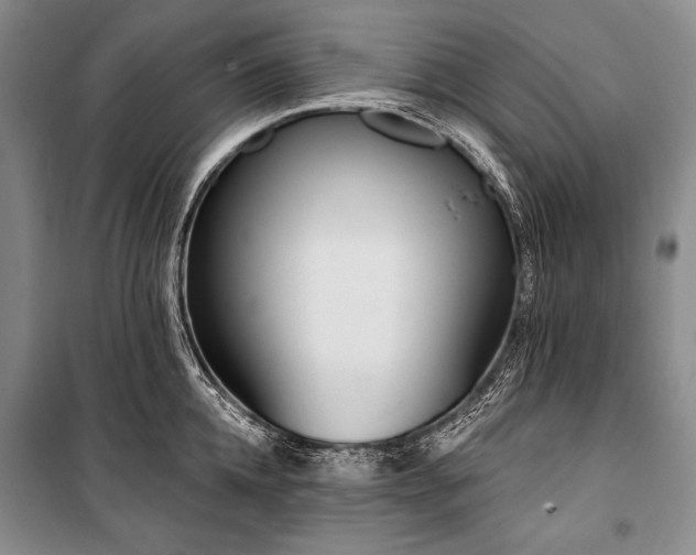 X0000101230952200806271508
