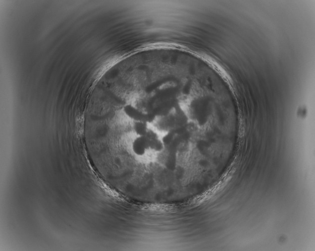 X0000101230953200806271508