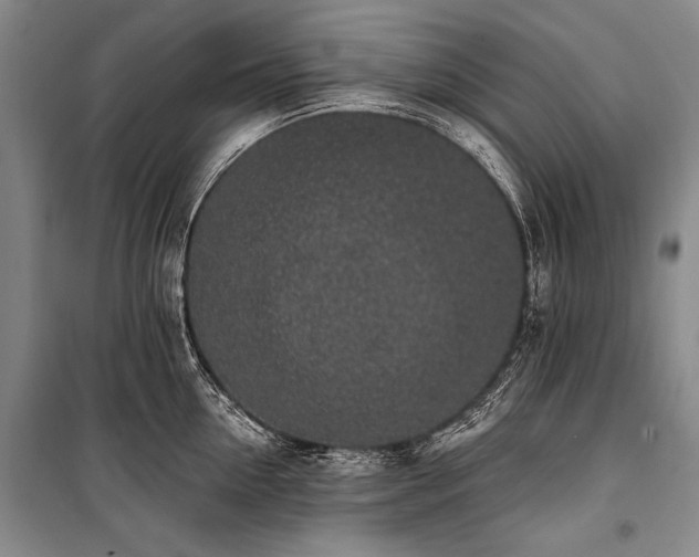 X0000101230954200806271508