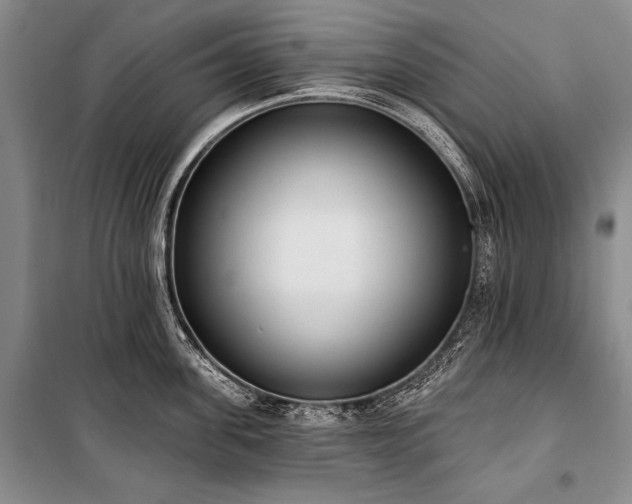 X0000101230955200806271508