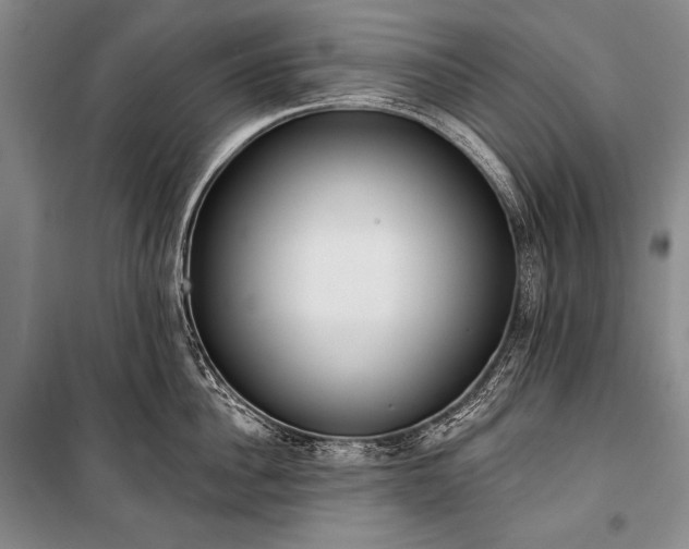 X0000101230956200806271508