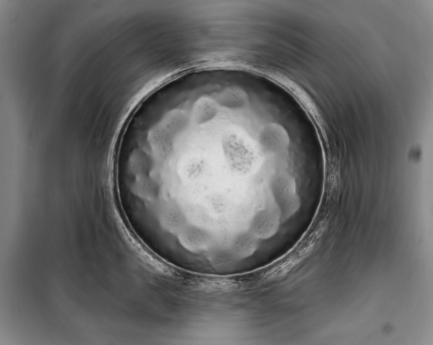 X0000101230957200806271508