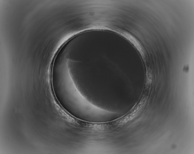 X0000101230958200806271508