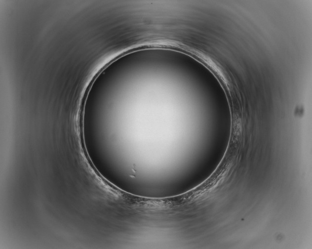 X0000101230959200806271508