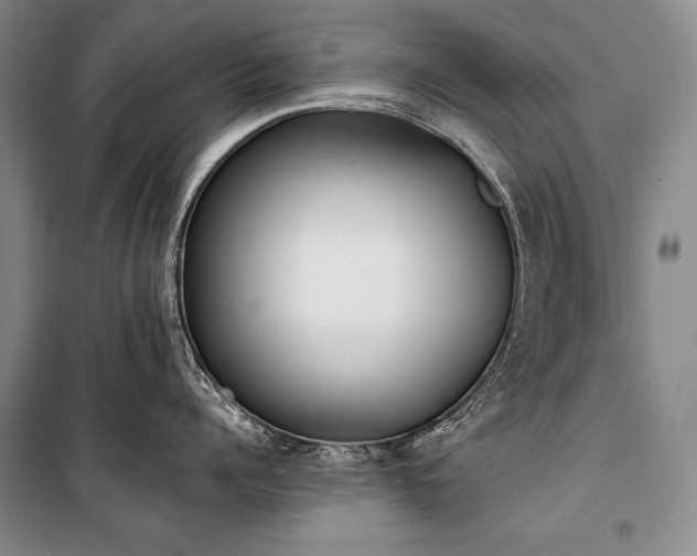 X0000101230960200806271508