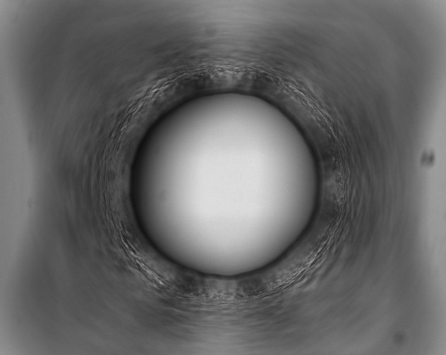 X0000101230961200806271507