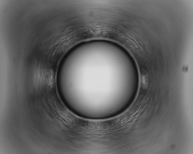 X0000101230963200806271507