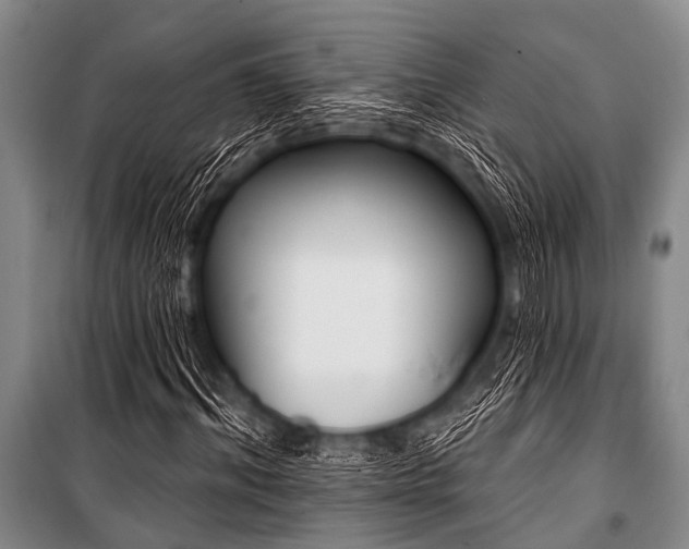 X0000101230964200806271507