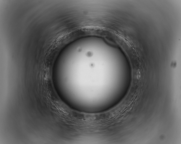 X0000101230965200806271507