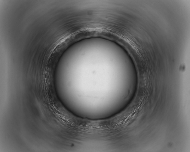 X0000101230967200806271507