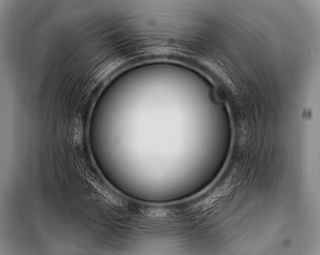 X0000101230969200806271507