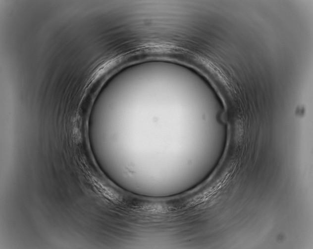 X0000101230970200806271507