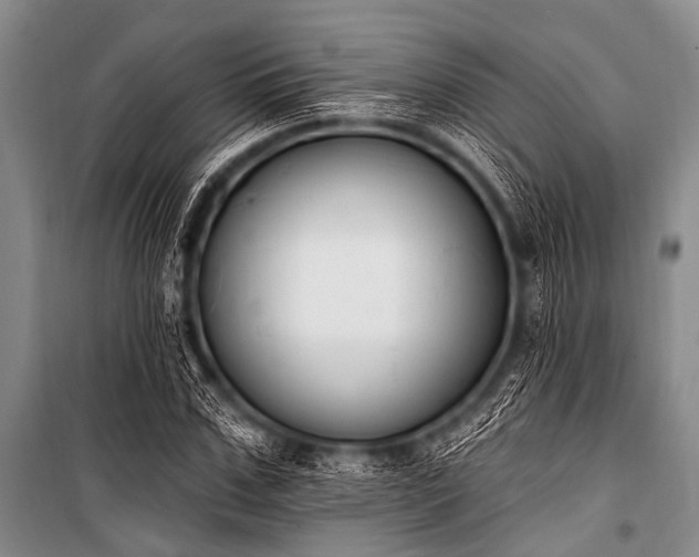 X0000101230971200806271507