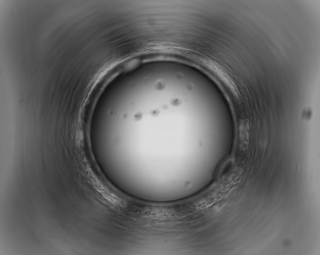 X0000101230972200806271507