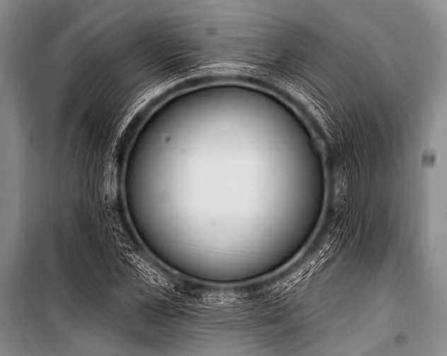 X0000101230973200806271507