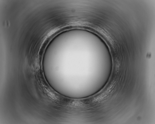 X0000101230974200806271507