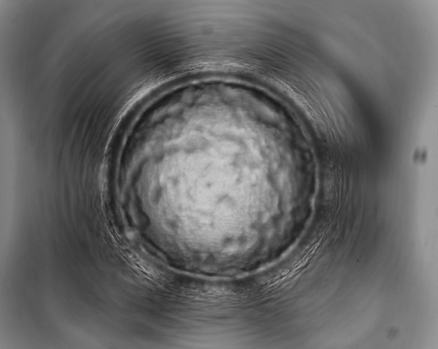 X0000101230975200806271507