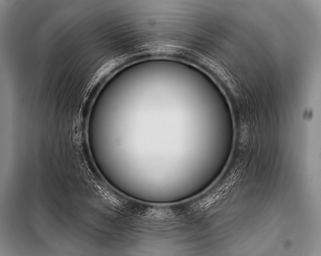 X0000101230978200806271507