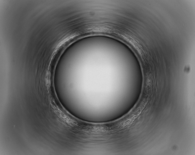 X0000101230979200806271507