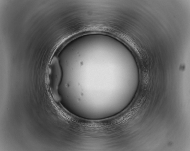 X0000101230980200806271507