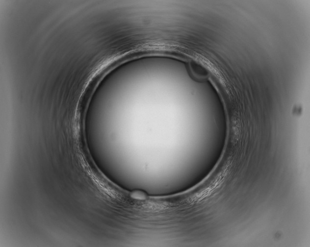 X0000101230981200806271507