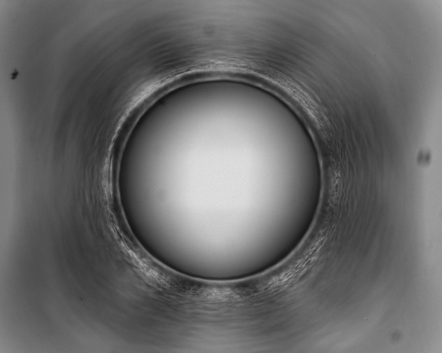 X0000101230982200806271507
