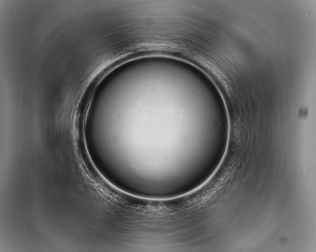 X0000101230983200806271507