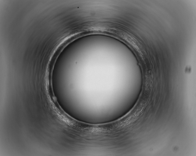 X0000101230984200806271507