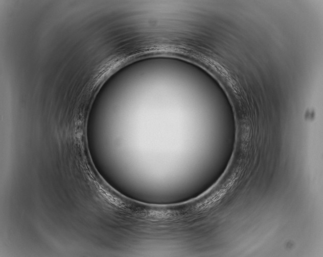 X0000101230985200806271507