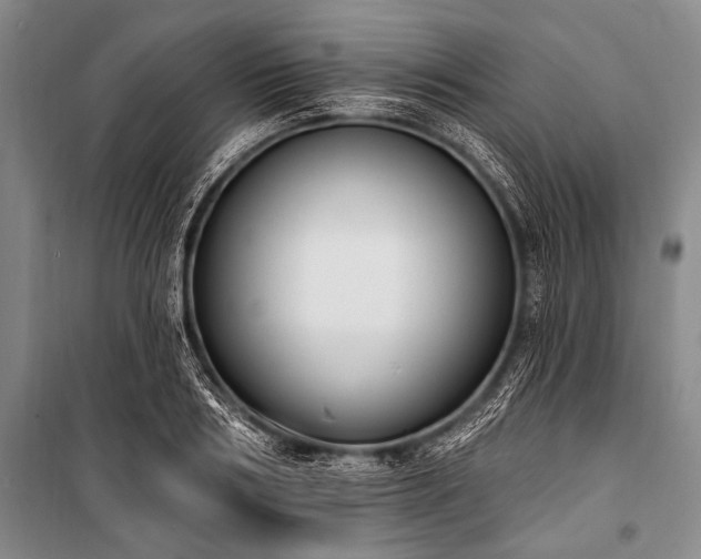 X0000101230986200806271507