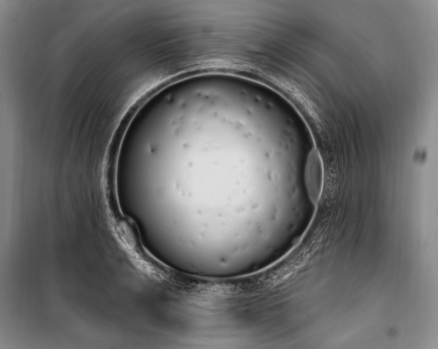 X0000101230991200806271507
