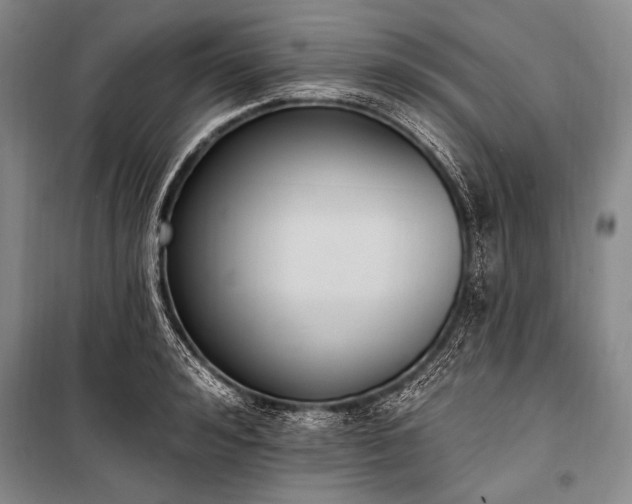 X0000101230992200806271507