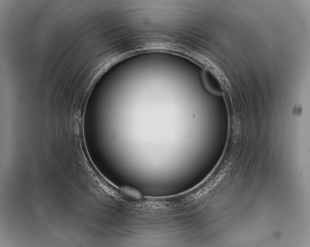 X0000101230993200806271507