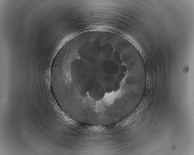X0000101230994200806271507