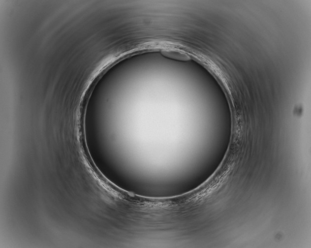 X0000101230997200806271507