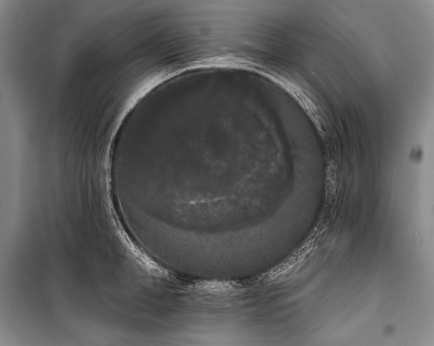 X0000101230998200806271507